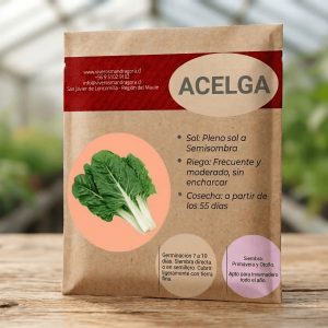 Semilla de Acelga