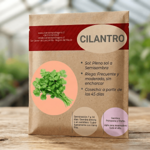 Semilla Cilantro